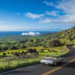 Scenic Routes and Hidden Gems on Maui’s Upcountry Trip