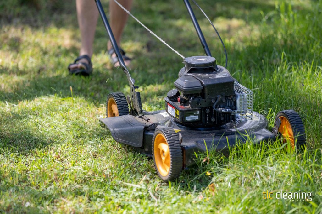 Grass Cutting Services in Montacute: Top Tips and Choices