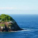 Belize Bird Island: Essential Tips for Your Adventure