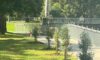 Tree Planting Initiative by Cardiff NSW Council