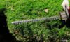 Best Practices for Hedge Trimming in Queen Camel Gardens