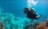 Belize’s Big Blue Hole: Essential Diving Tips and Guide