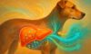 Liver Health Monitoring Tips for Caring for Your Dog