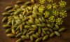 Fennel Seed Recipes for Italian and Indian Delights