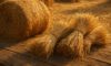 Fresh Recipe Ideas for Cooking with Hay and Straw