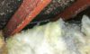 Asbestos Concerns: Essential Tips for Choosing Skip Hire