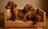 Puppy Crate Setup: Essential Tips for Comfort