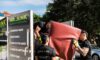 Council Hard Waste and Private Junk Removal Options Explored